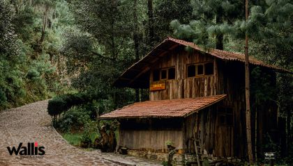 Cómo Pasar un Año Nuevo de Aventura en México