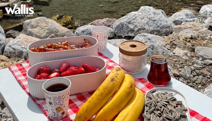 Recomendaciones rápidas para un picnic perfecto