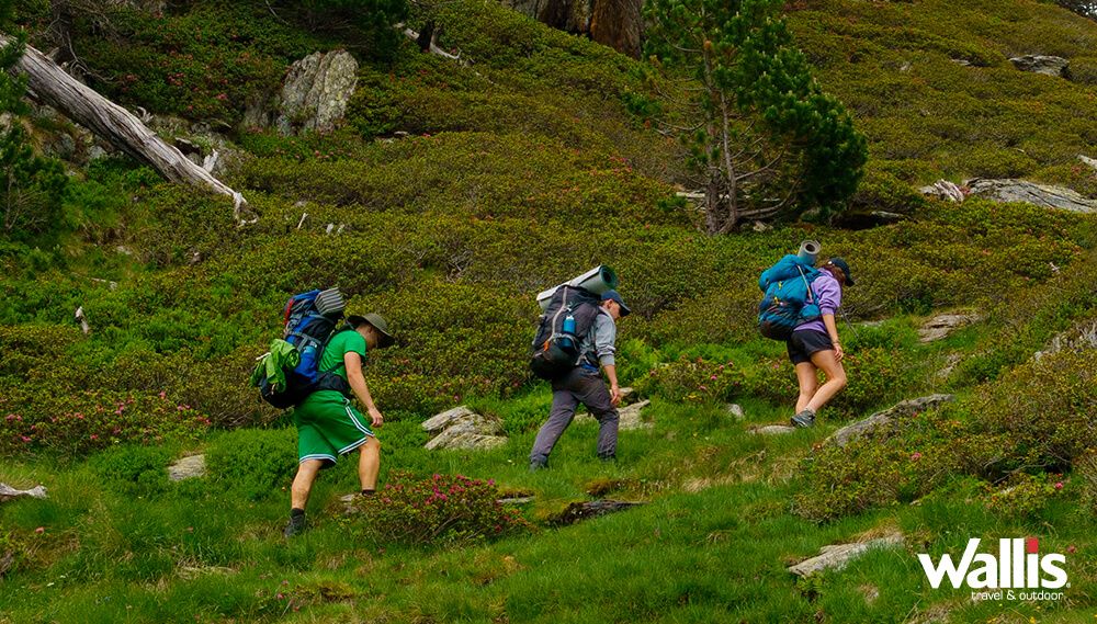 ¡Prepárate para la aventura perfecta!